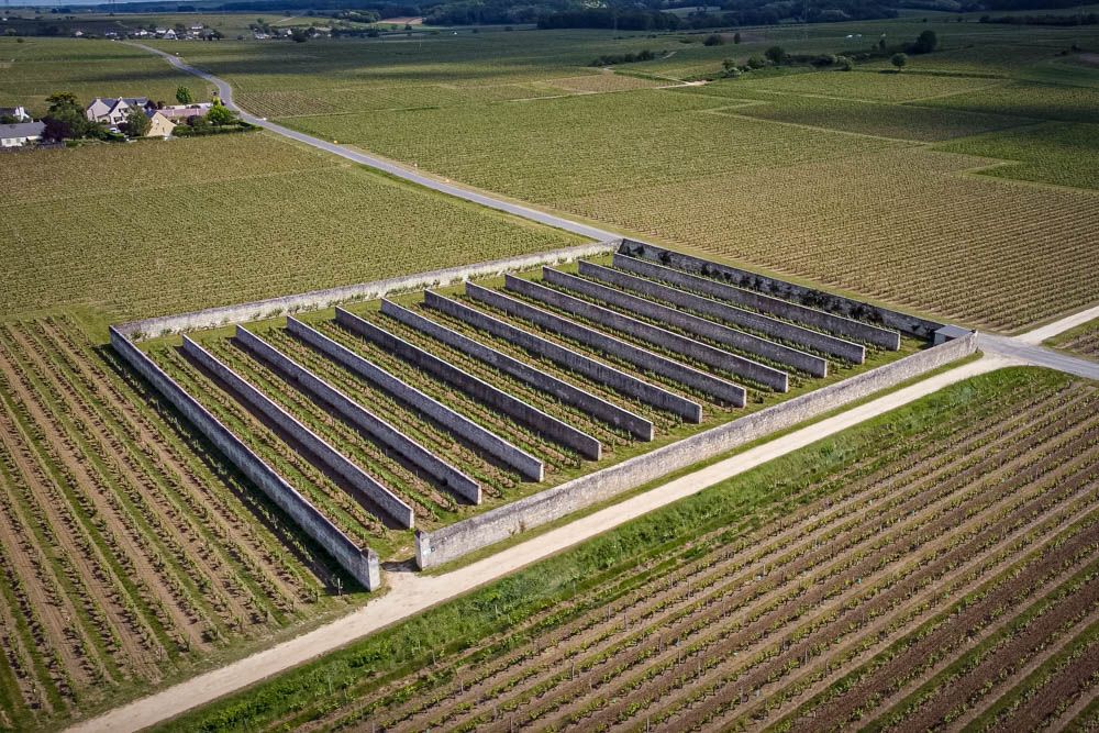 photo aérienne de drone en Anjou vignes