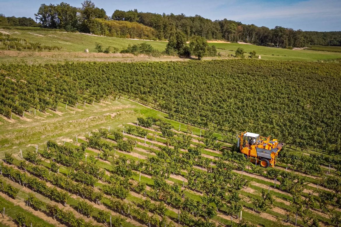 photo aérienne de drone pour l'agriculture